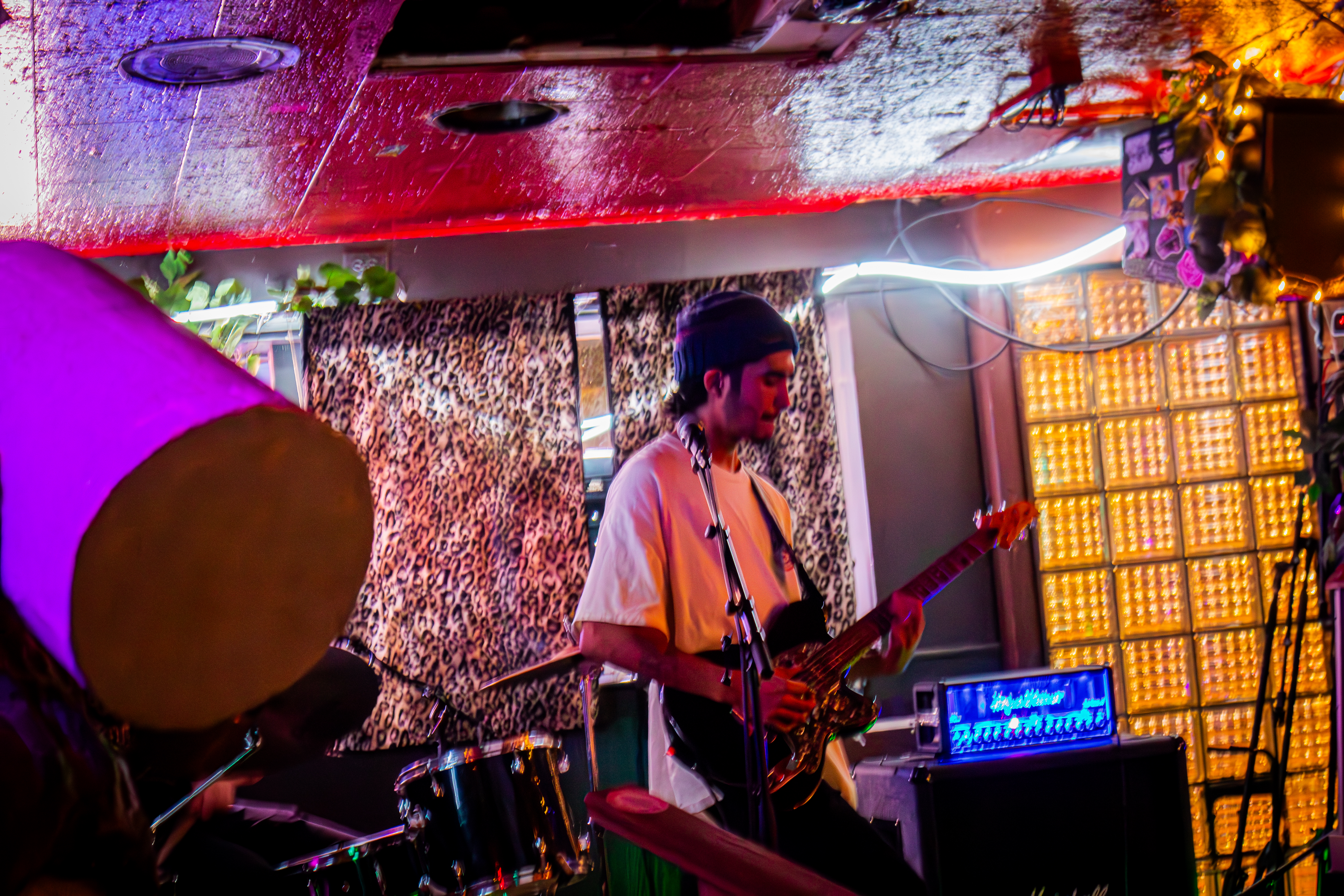 Lion's Lair 08-14-2025 - Guitar Solo